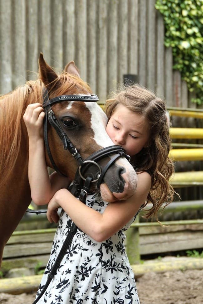 Horse Photo Shoots at Lake Louisa State Park in Clermont