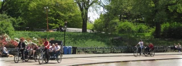 Panoramic Central Park path with rickshaw tour group riding