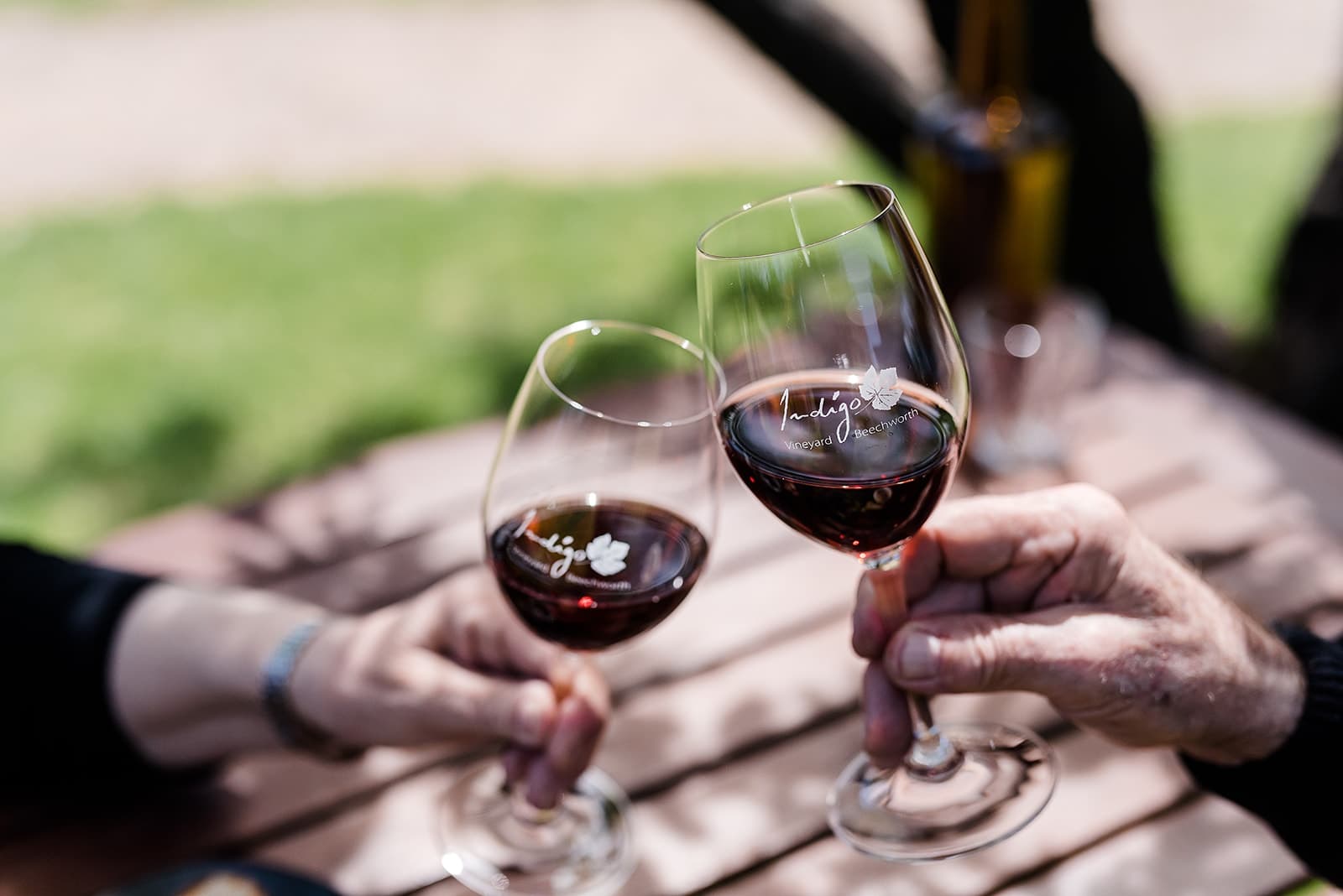 Land-Adventures & Wine Tasting at Indigo Vineyard