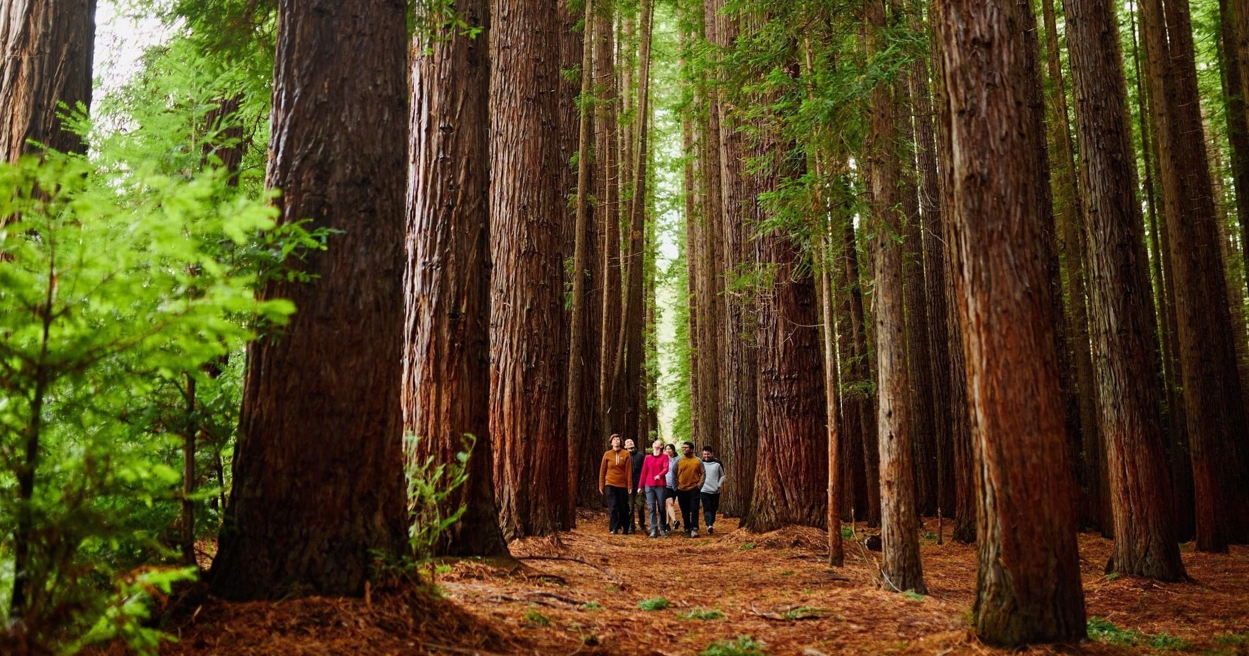 Land Adventures: Fruit Picking & Nature Tour with Awaken Tours in Yarra Valley