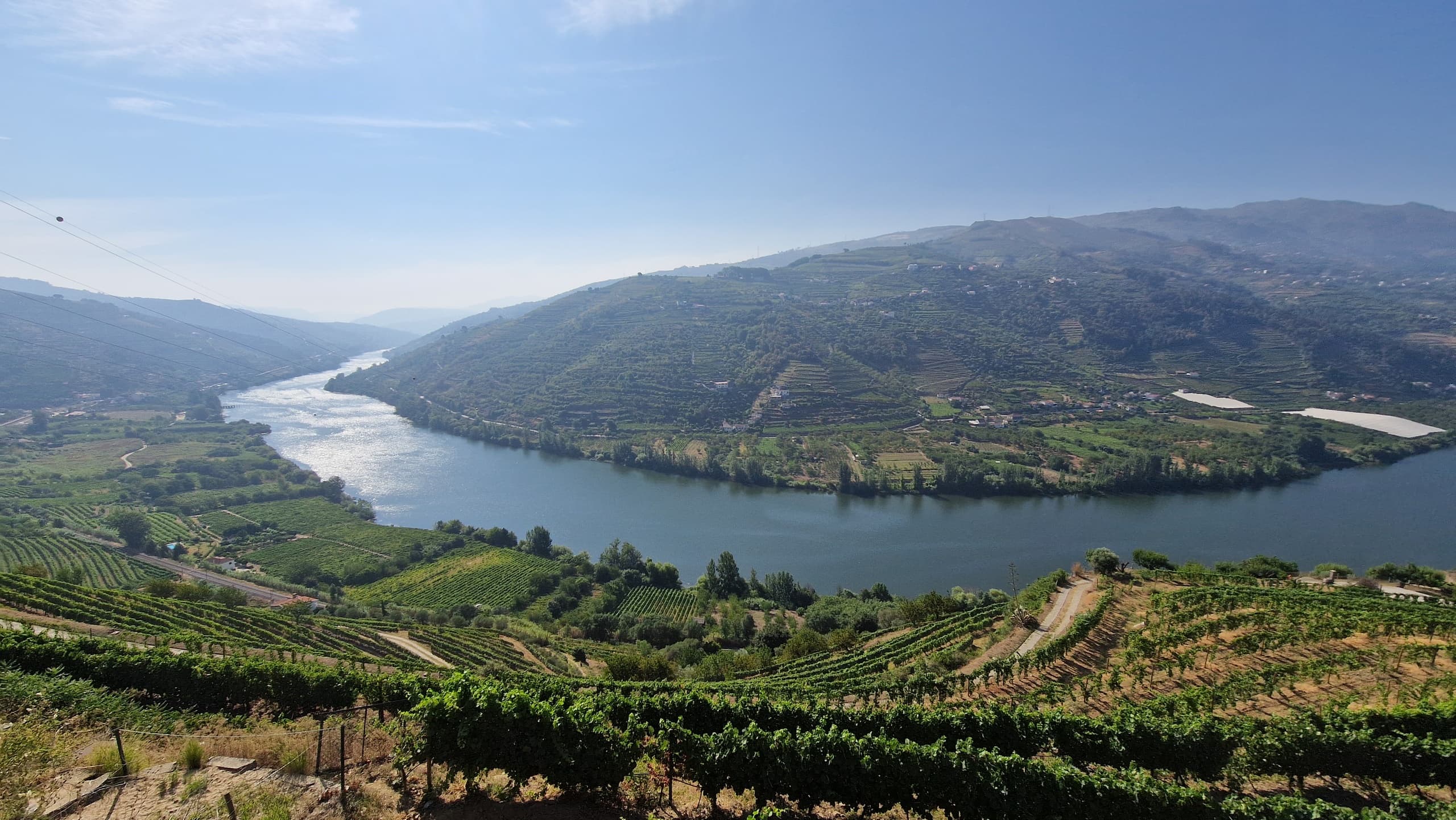 Wide river valley view with terraced vineyards and hills