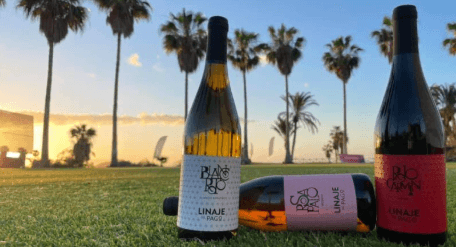 Wine Tasting at Bodega Linaje del Pago in El Sauzal