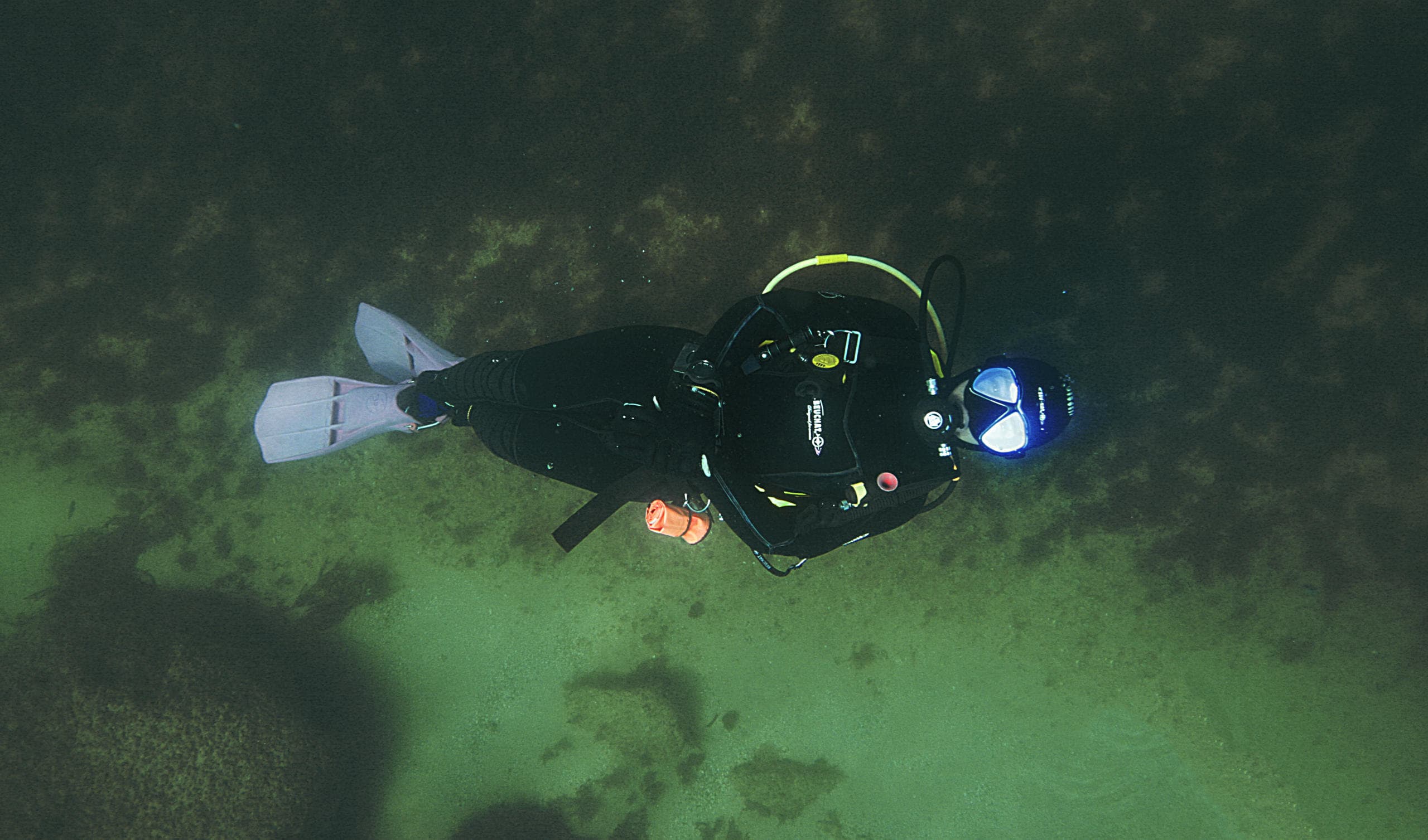 Water Activities with We Dive Near Ponta da Piedade