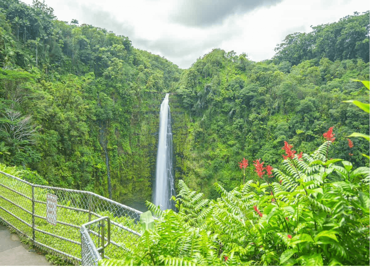 Hilo Day Tour: Waterfalls, Markets, and a Scenic Hamakua Coast Drive