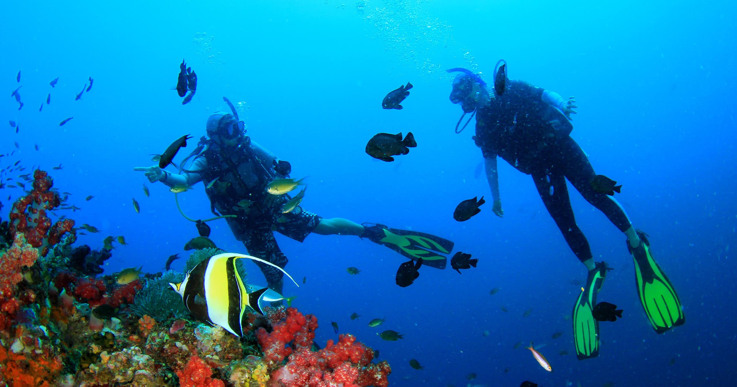 Group scuba divers exploring vibrant coral reef and fish