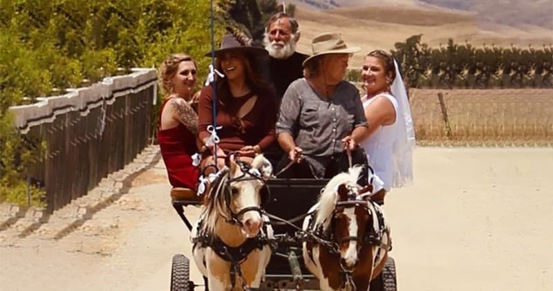 Wildlife-Forward Weddings in Paso Robles: Host Up to 200 Guests with Animal Encounters photo 1