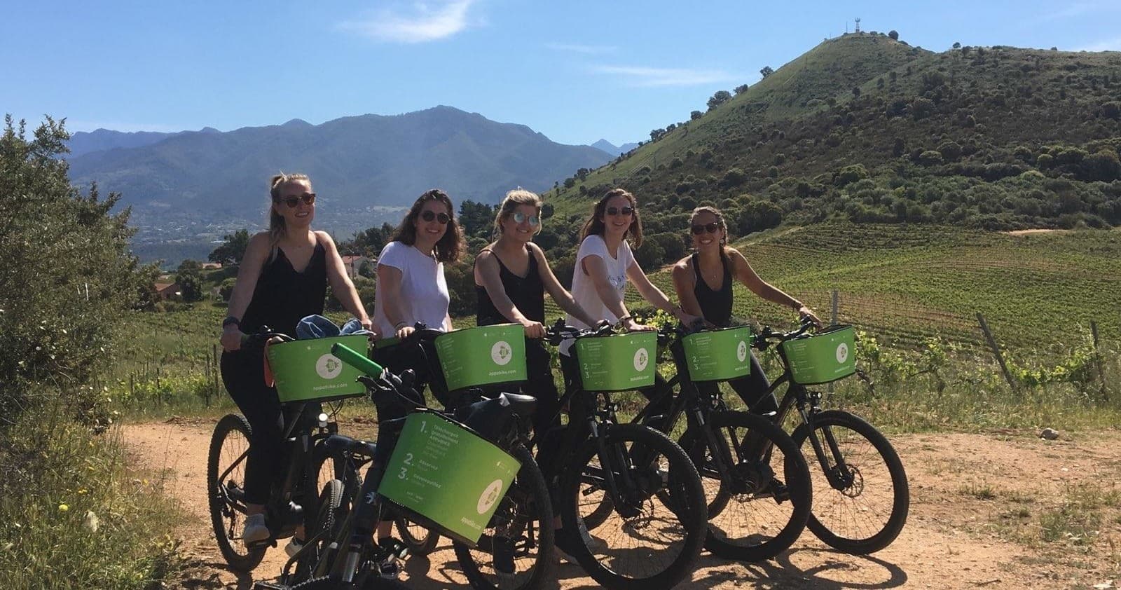 Group e-bike tour riding through scenic hillside vineyard