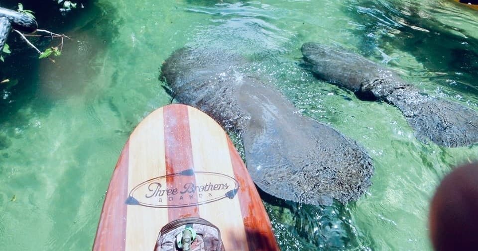 Orlando Manatee & Blue Springs Adventure Tour