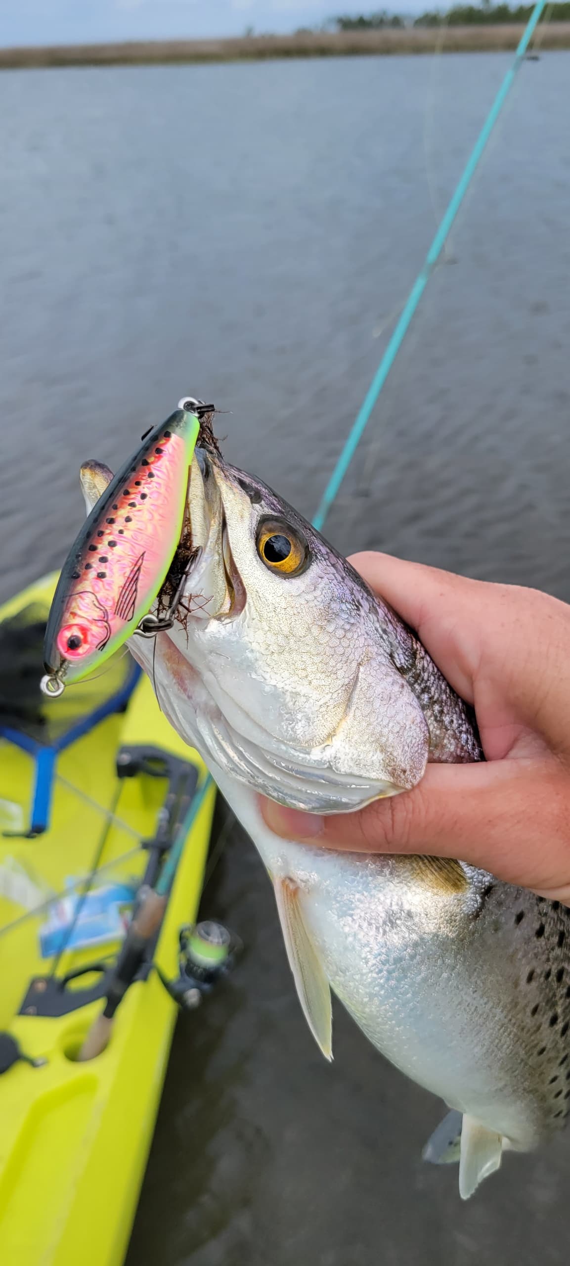 Four-Hour Inshore Charter in Santa Rosa Beach — Fast Inshore Fishing on Florida’s Emerald Coast photo 2