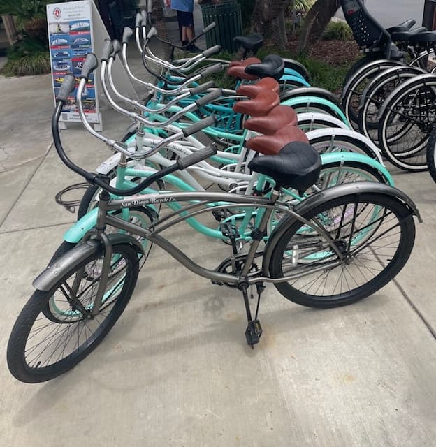 Adult Beach Cruise Bike
