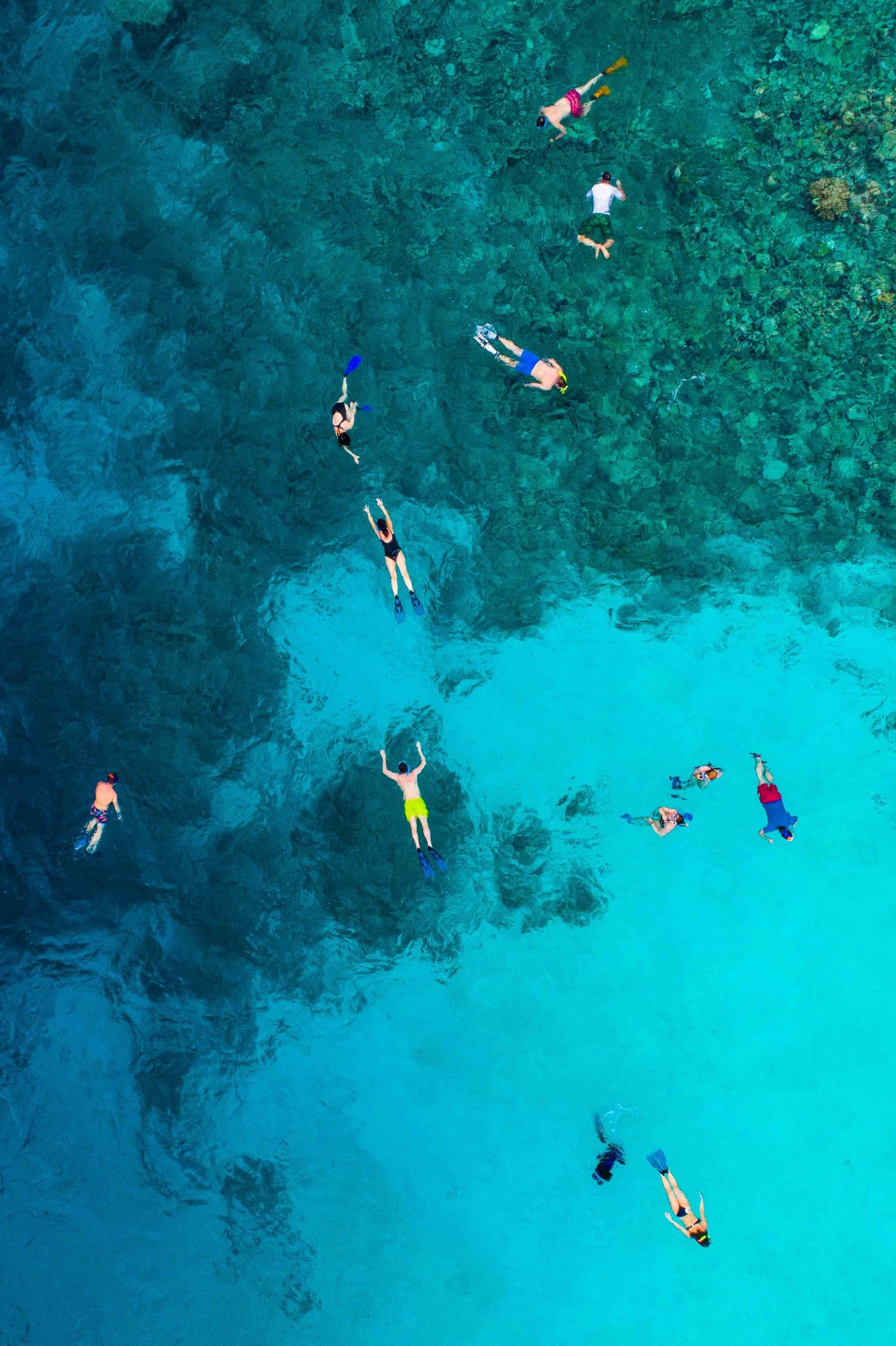 Water Activities: Snorkel at Alquiler de Barcos y Servicios subacuaticos slu