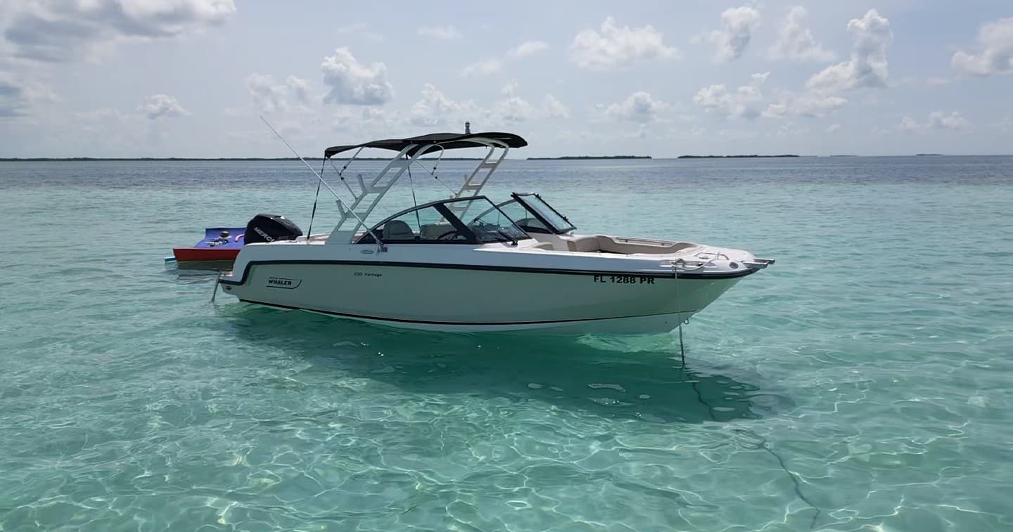 Water Activities at Salty Sandbars: Sunset Boat Trip