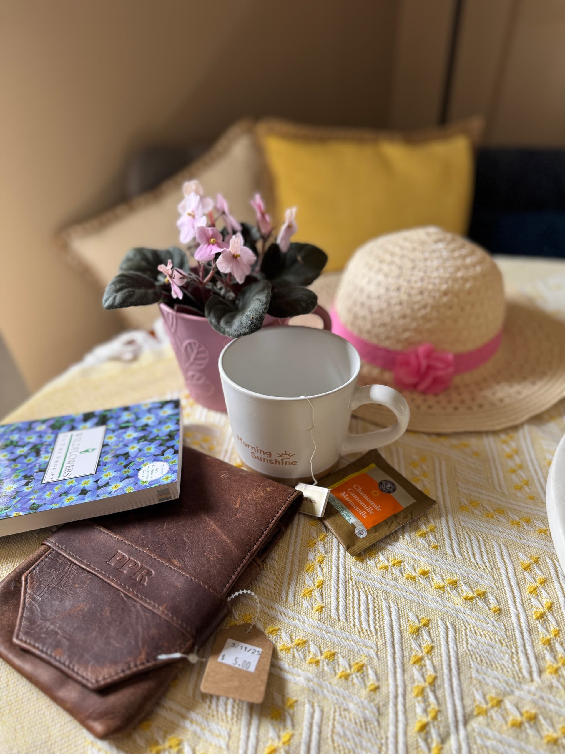 Ladies Spring Thrift and Sip Tour