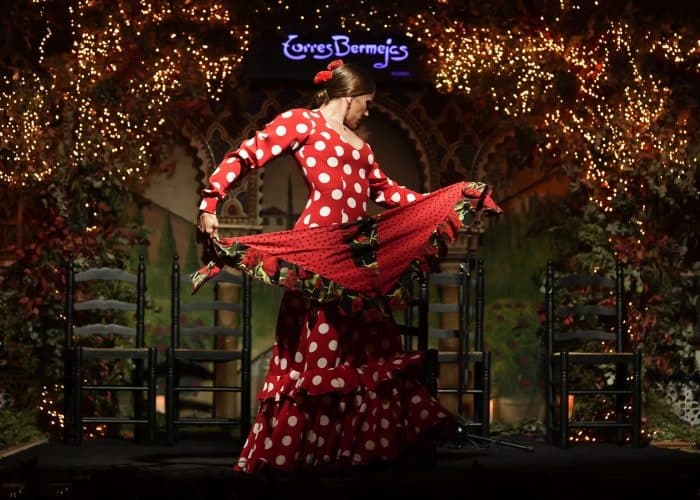 Flamenco dancer performing on stage indoors, cultural show experience