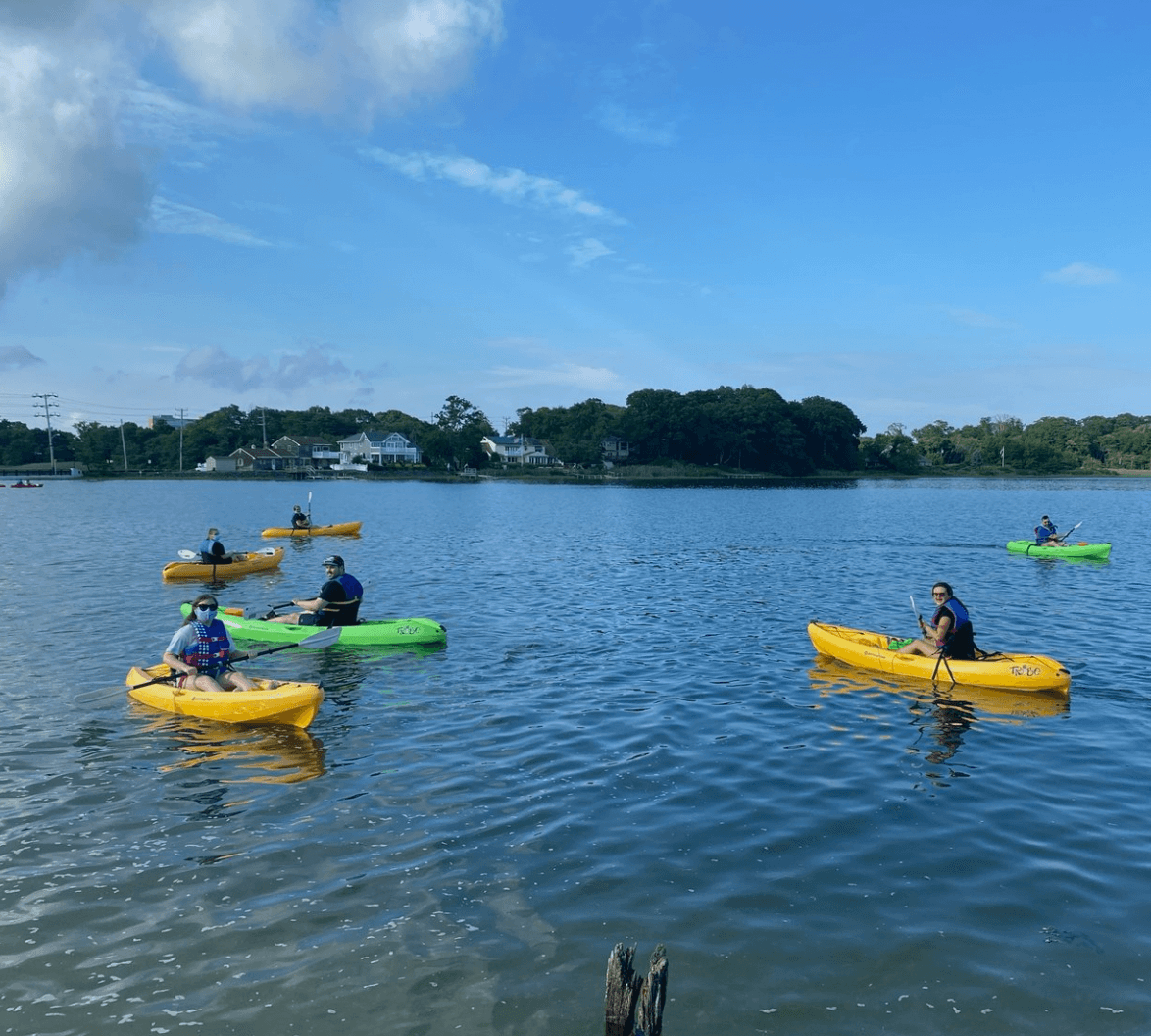 Kayakers paddling on calm lake under blue sky near shoreline