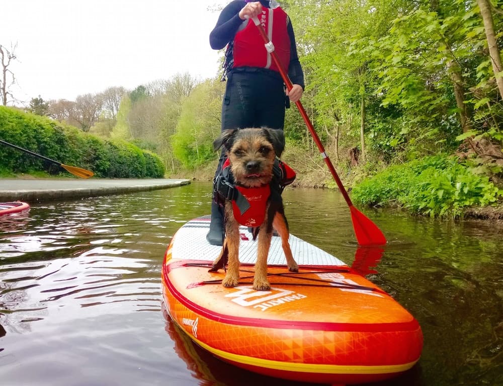 Water Activities & Doggy Paddleboarding on UK Waters
