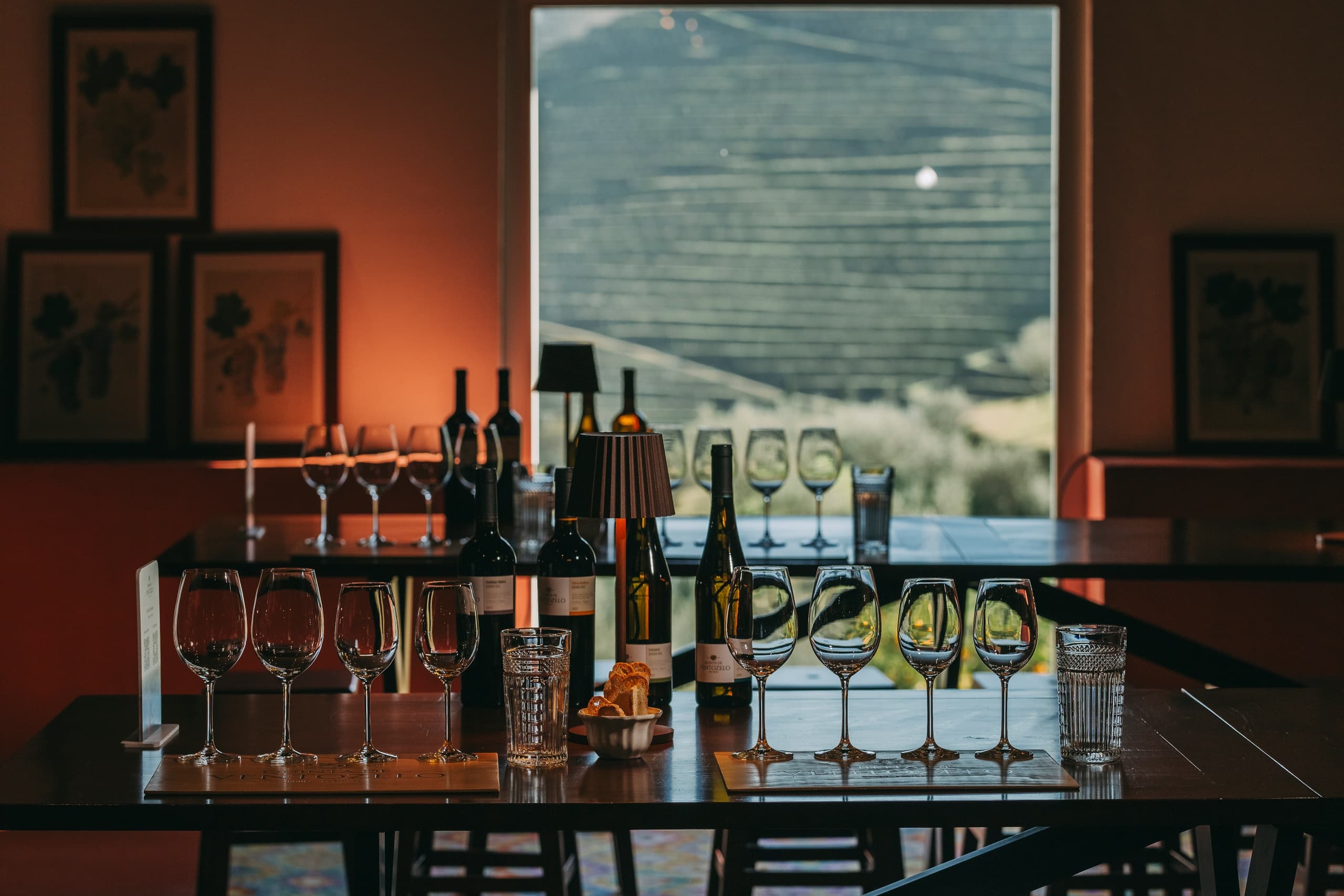 Wine Tasting in Douro Valley at Quinta de Ventozelo