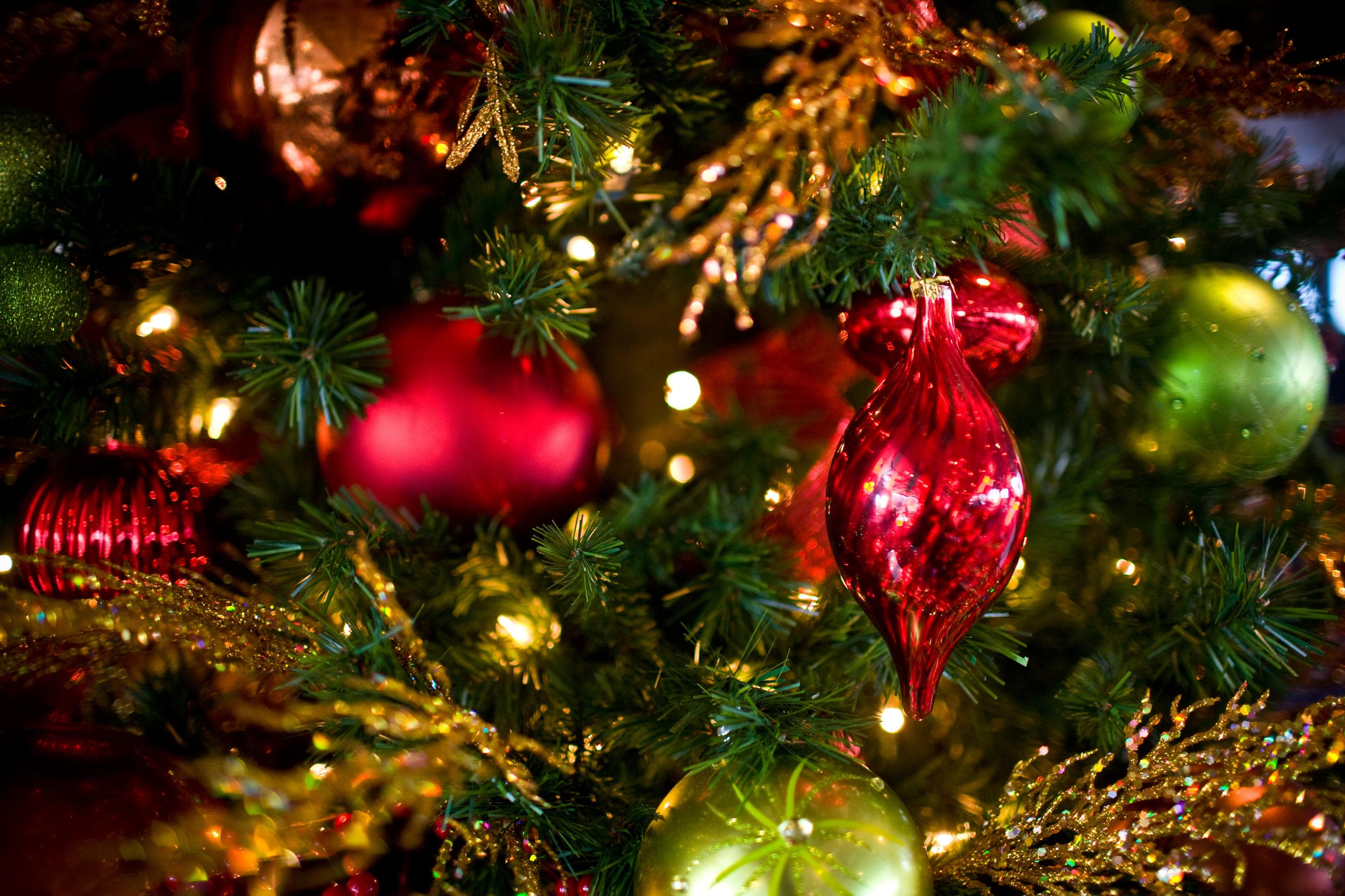 December Nights on the Bay: Festive Holiday Dinner Cruise in San Diego