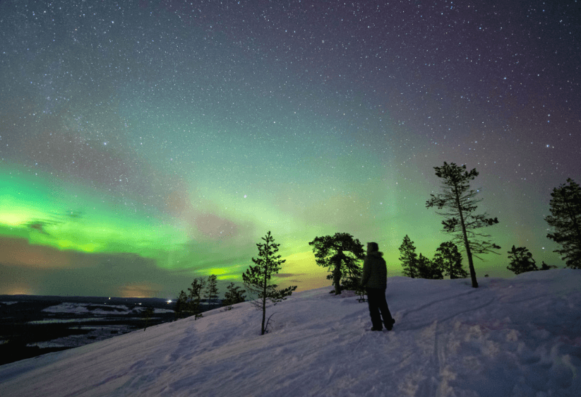 Aurora viewing with snowmobiles and trees in Lapland night