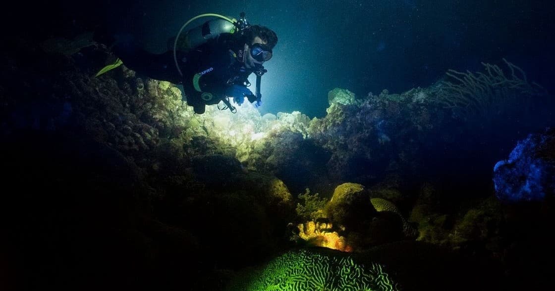 Night Diving Thrills with Mac's Sports in Clearwater, FL