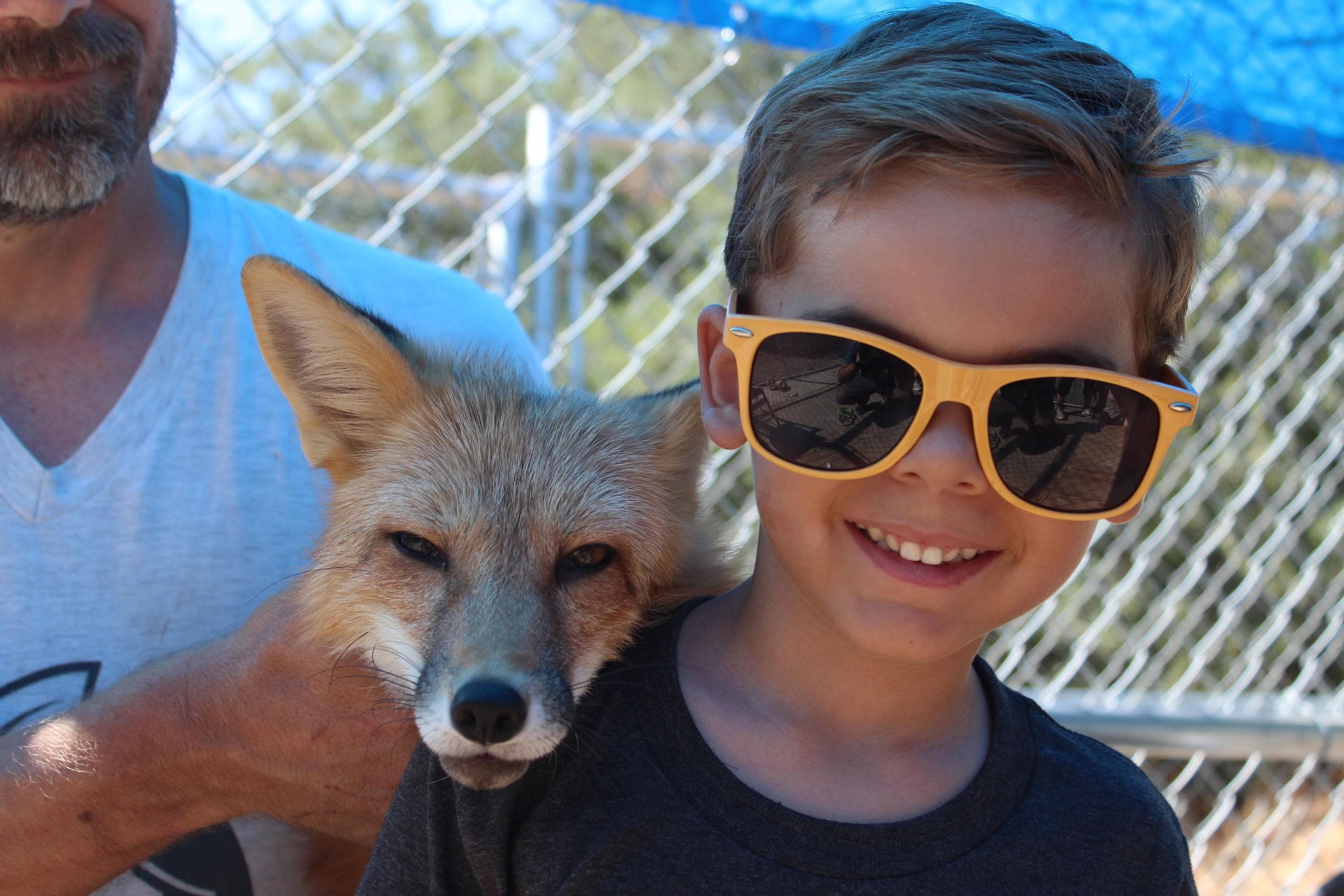 VIP Canid Experience in Santa Ysabel, California