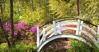 White wooden footbridge over floral stream in garden setting
