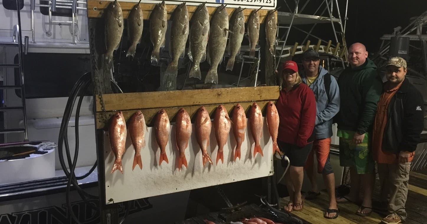 Night fishing crew with fresh catch hung on board at dock