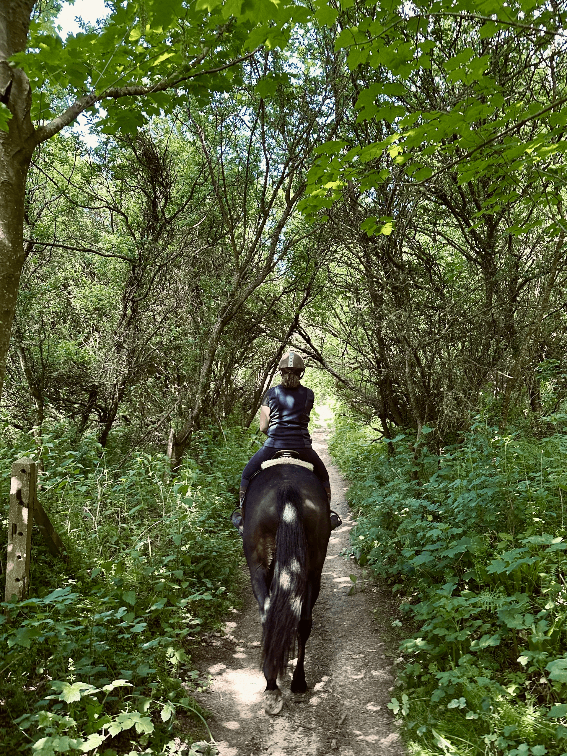 Horseback Riding at Domaine Équestre d'Étretat – Le Tilleul
