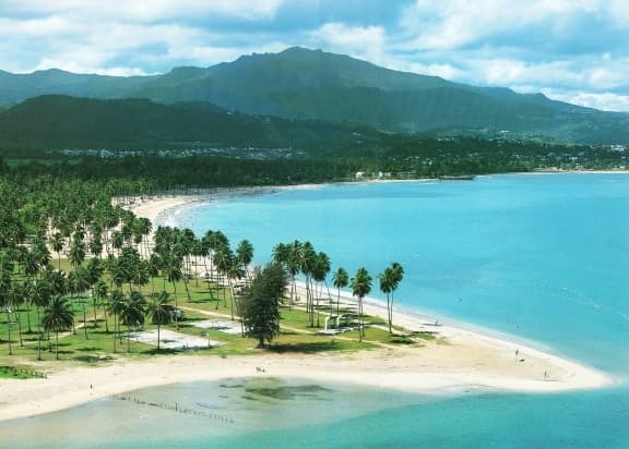 Aerial view of crescent tropical beach and palm-lined shoreline