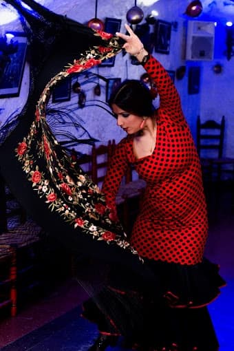 Cultural Evening & Flamenco Experience by Granavision Excursions