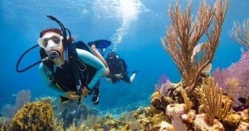 PADI Open Water Diver: Pool & Classroom Training in Newington, CT