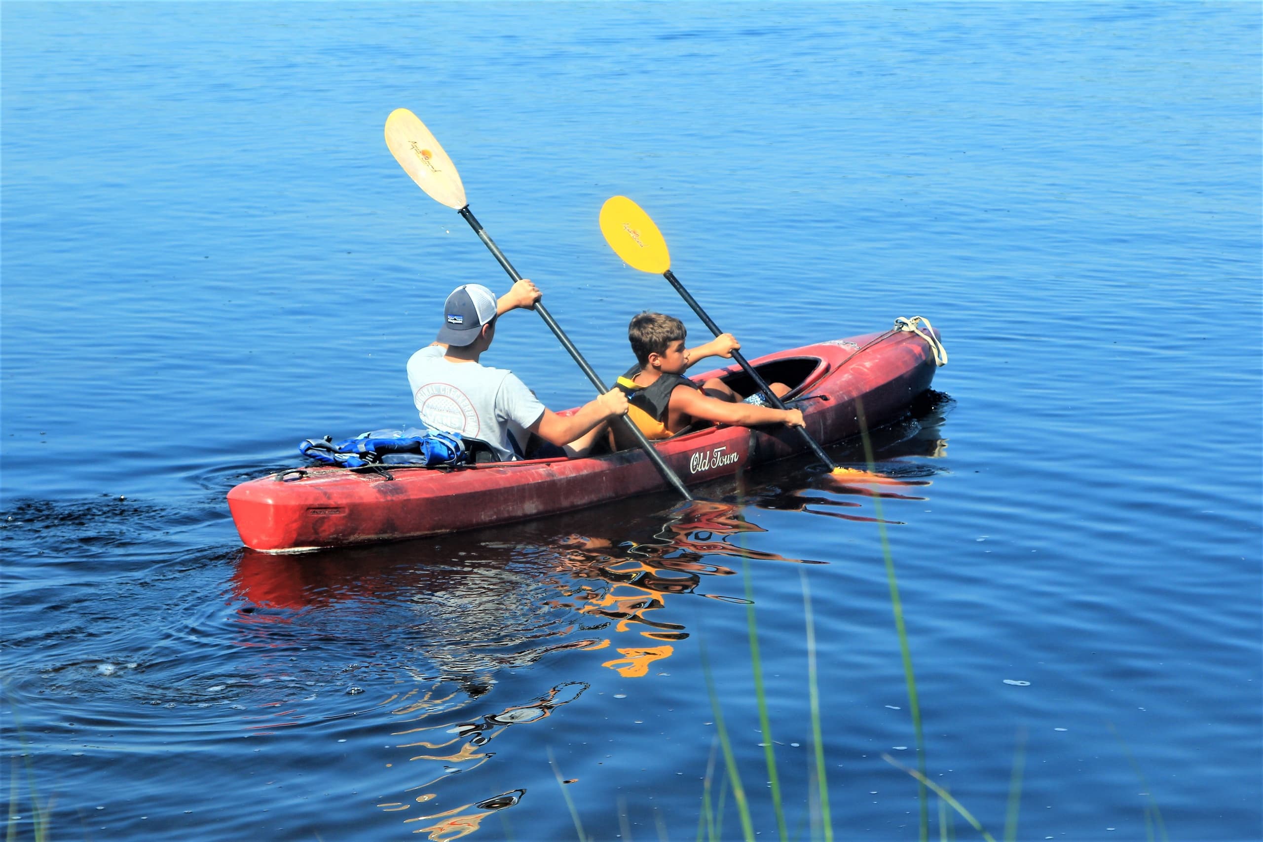 Discover Shark’s Tooth Island: A Kayaking Adventure in Wilmington, NC