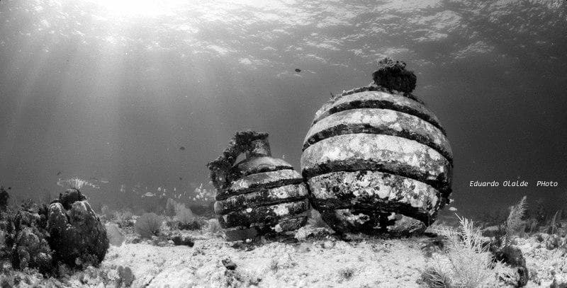 Explore Cancun’s Underwater Museum: Beginner Scuba Diving Adventure with Musa Diving