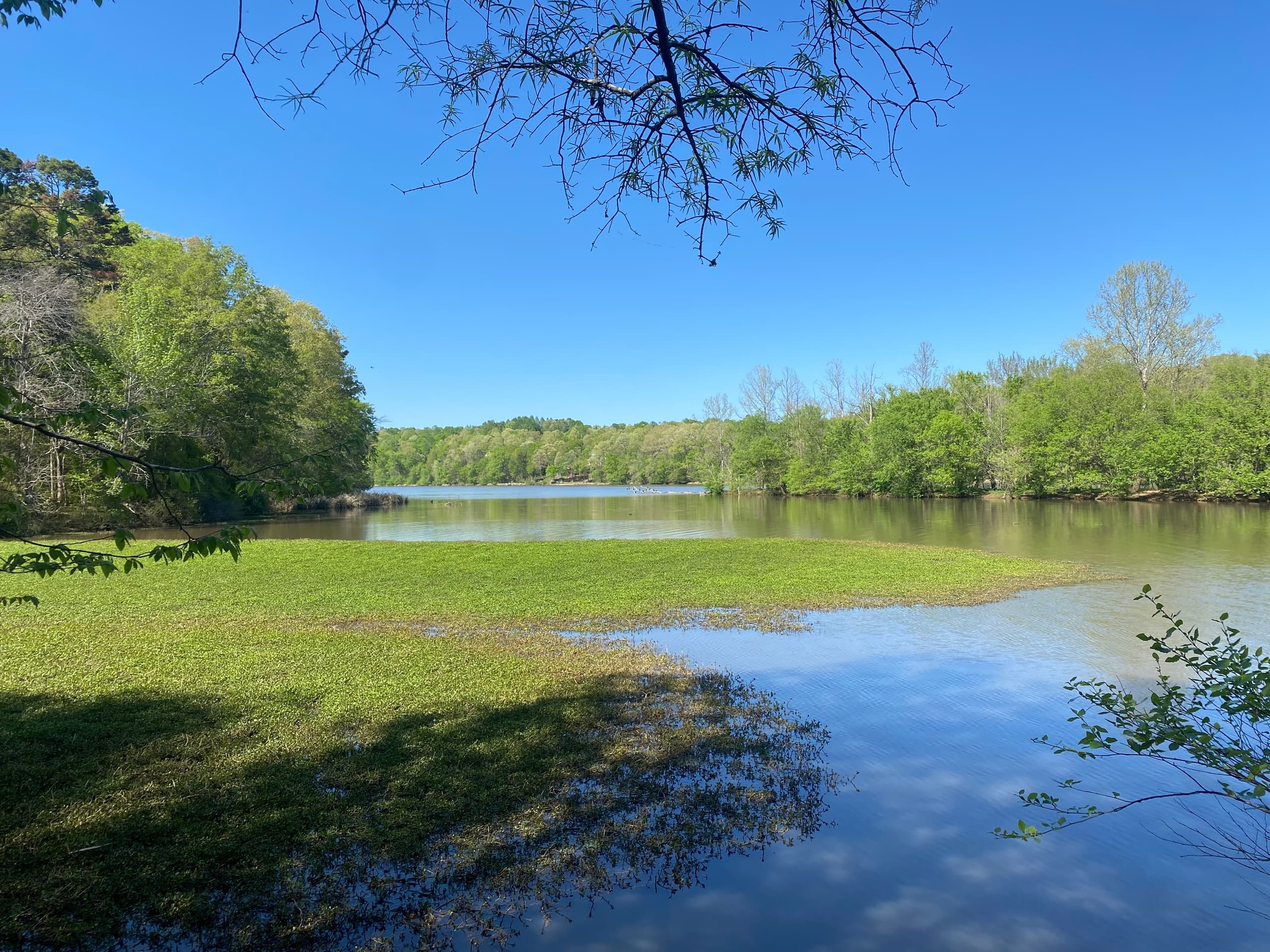 Goose Island Loop: Family-Friendly Flatwater Paddle on Saxapahaw Lake photo 1