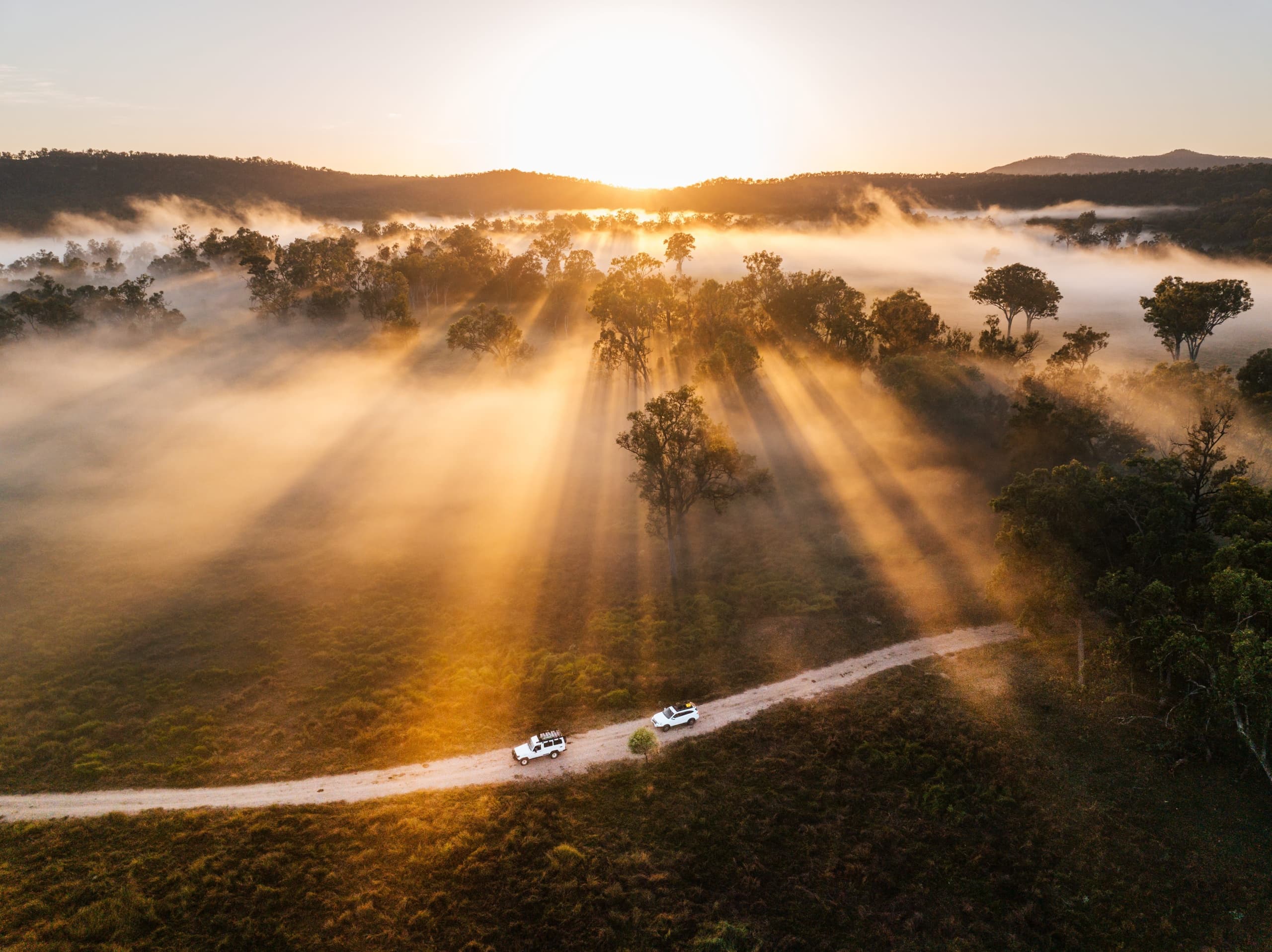 4x4 vehicles driving through sunrise fog over bushland tracks