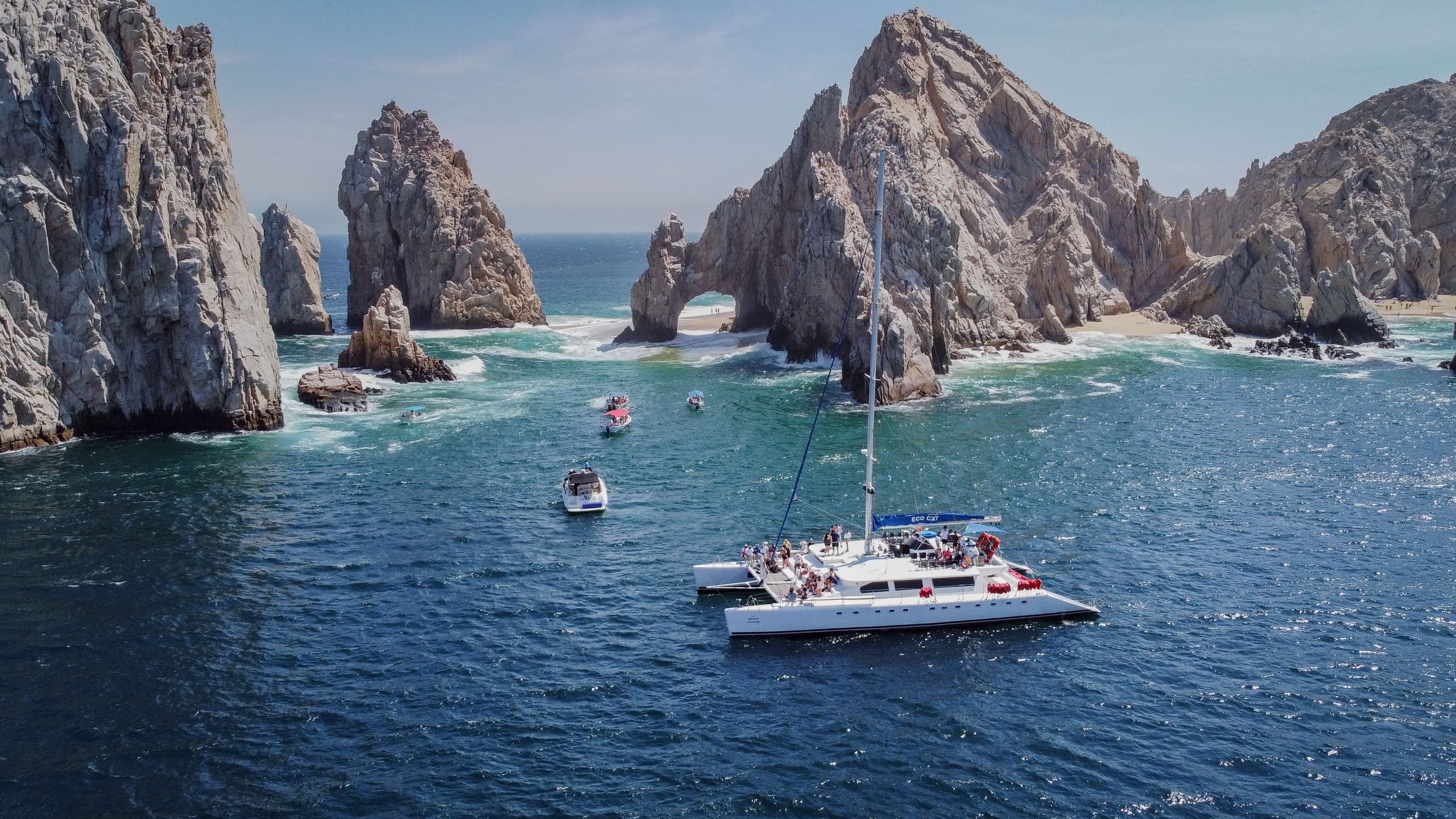 Ecocat Catamaran Tours fleet