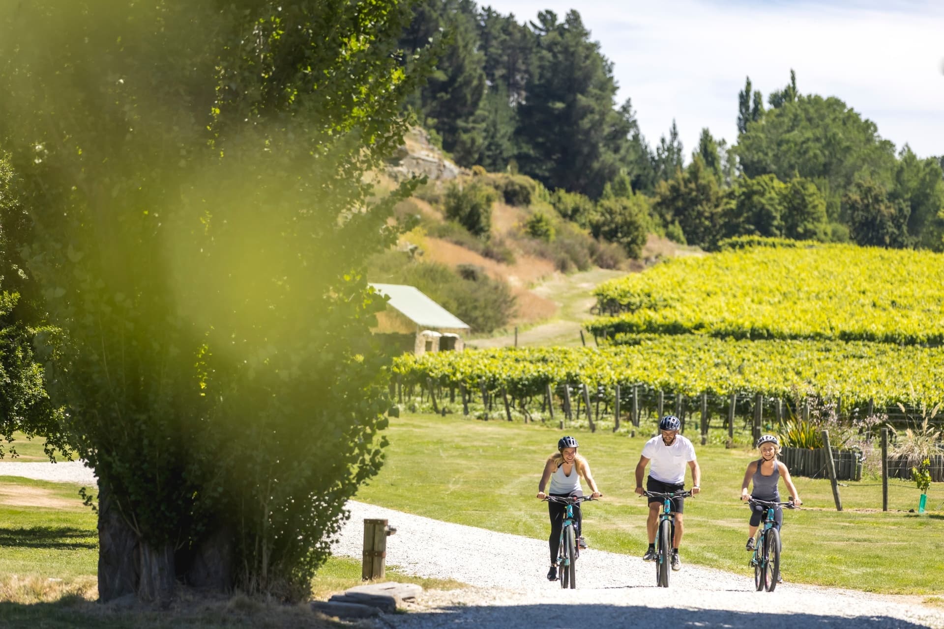 Bike Adventure from Queenstown to Gibbston Valley with Queenstown Bike Hire