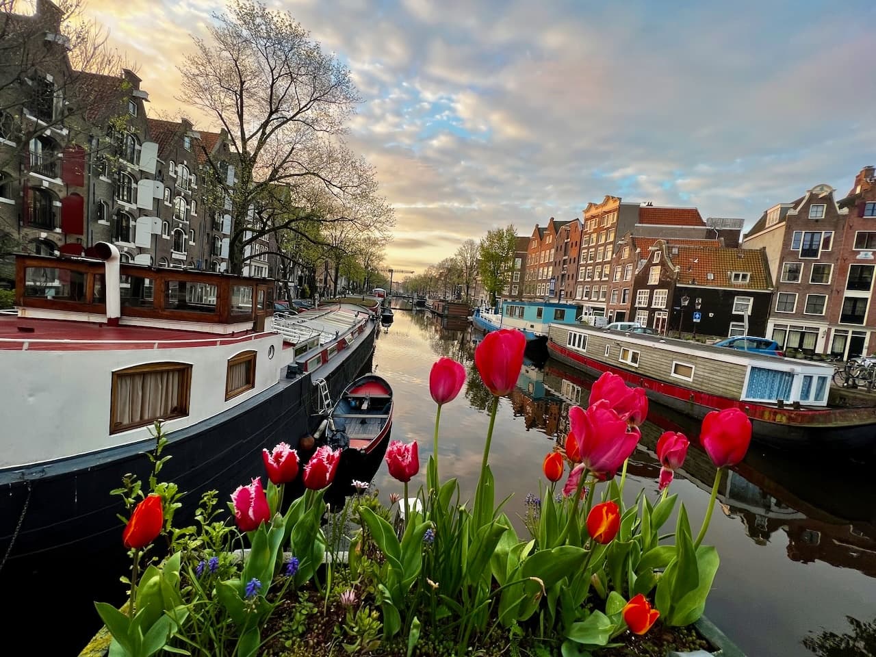 Urban Walking Tour in Amsterdam with David