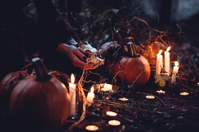 Ride the Wicked Witch Express: A Haunted Halloween Adventure on the Winnipesaukee Scenic Railroad