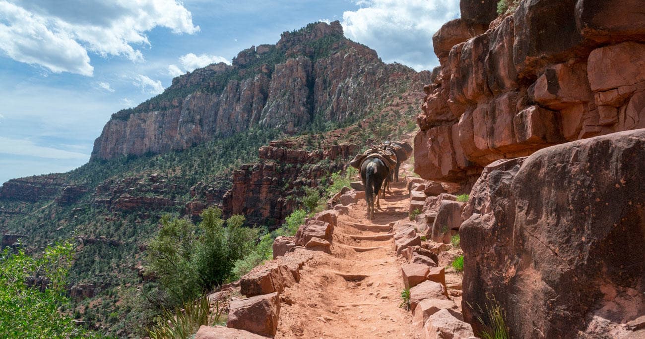 Land Adventures at Grand Canyon with Discovery Treks