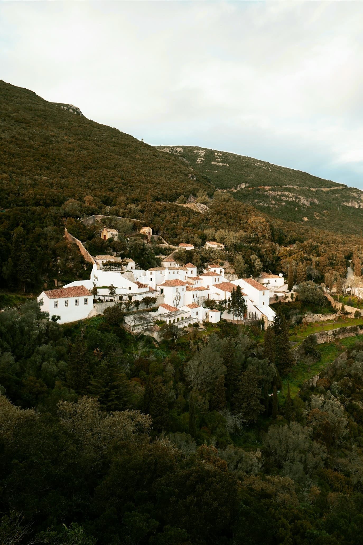 Arrábida Day Trip: Explore Setúbal's Cliffs, Beaches & Crystal Waters