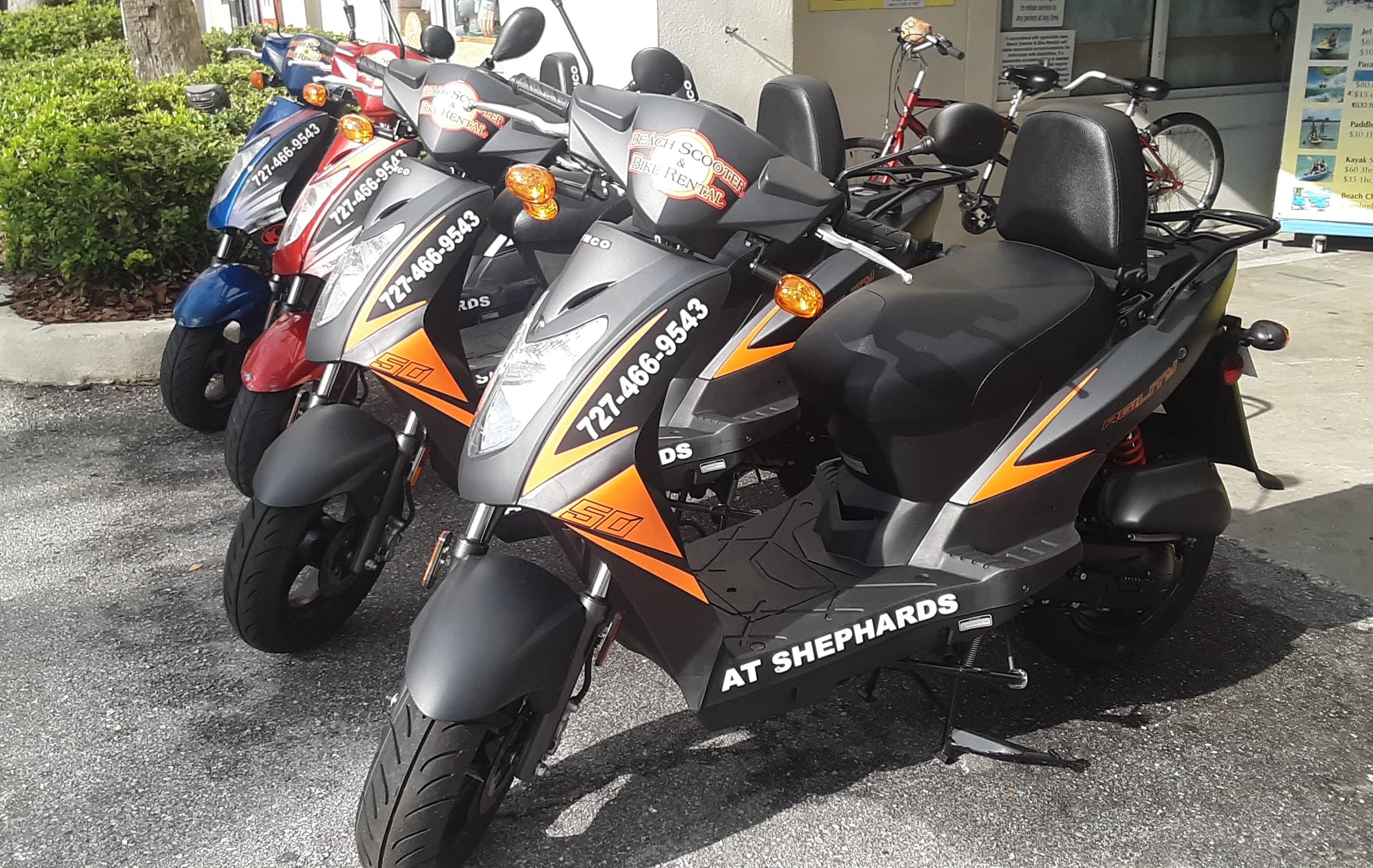 Row of motor scooters parked outside rental shop on pavement