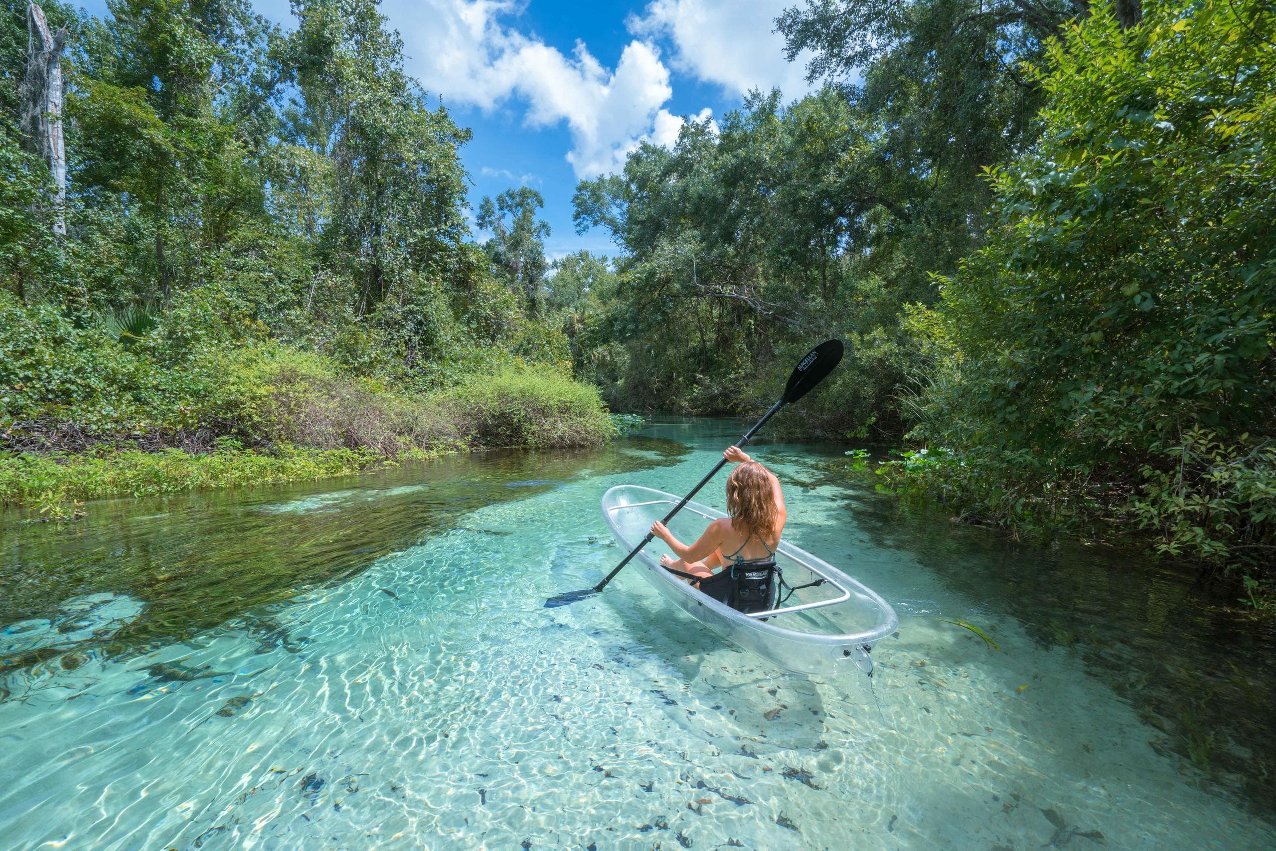 Rock Springs Clear Kayak Tour in Apopka, Florida