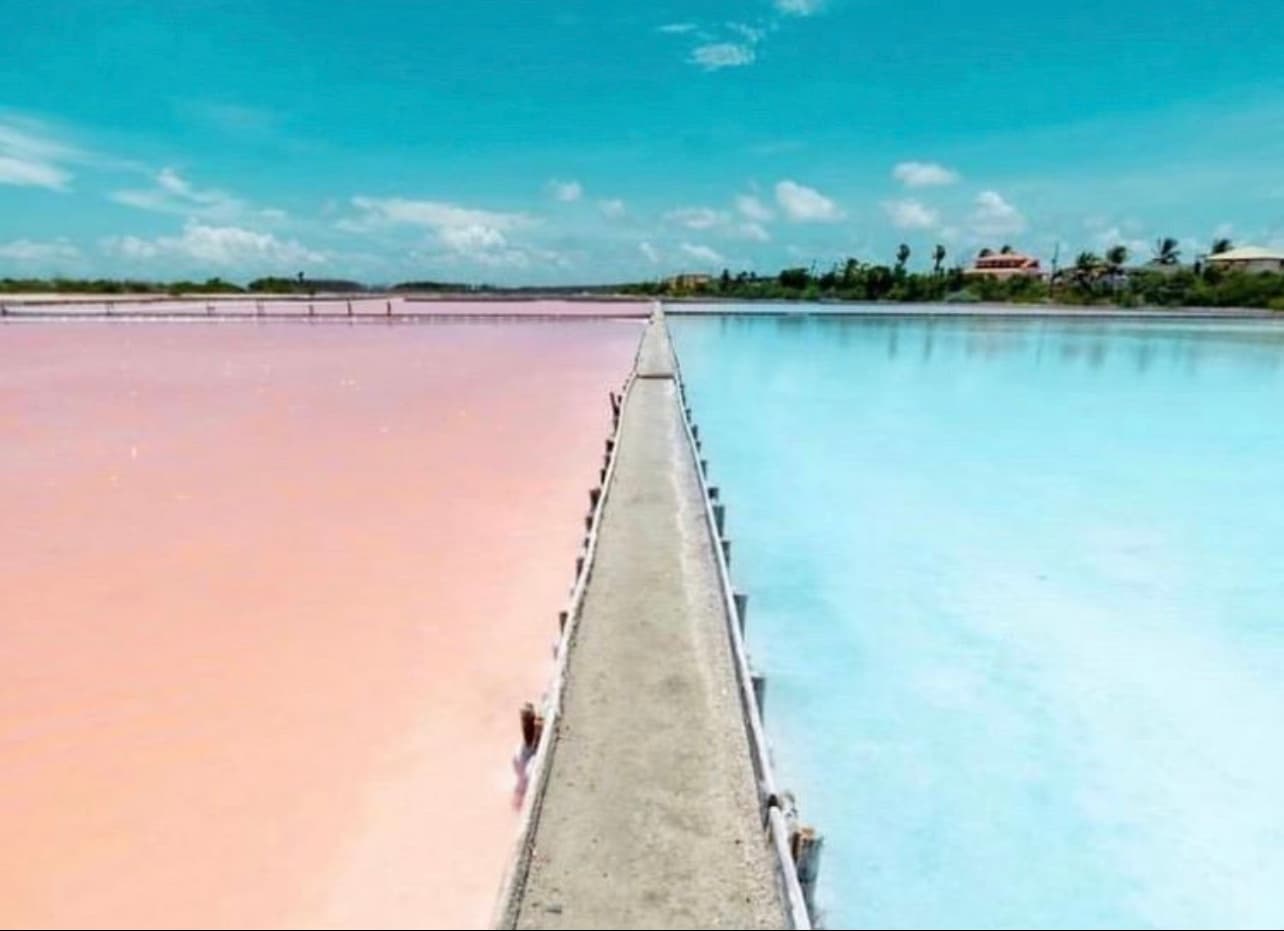 Boardwalk over pastel salt flats and shallow coastal lagoons