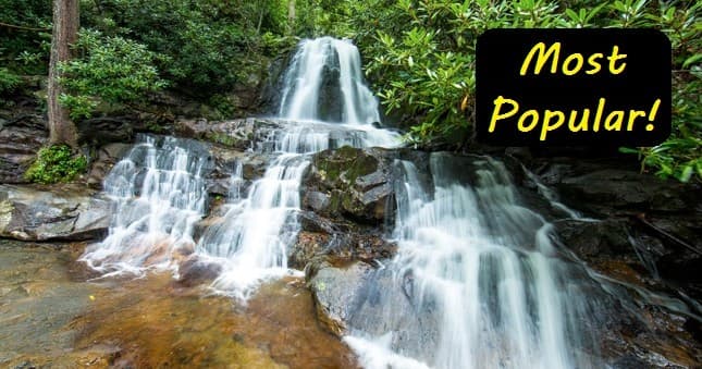 American UTV Rentals: Off-Road Adventures in Pigeon Forge