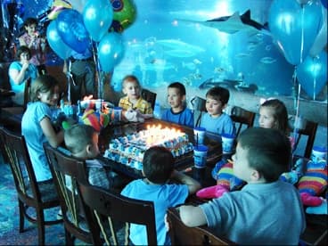 Bottom of the Sea Birthdays in Kemah, TX