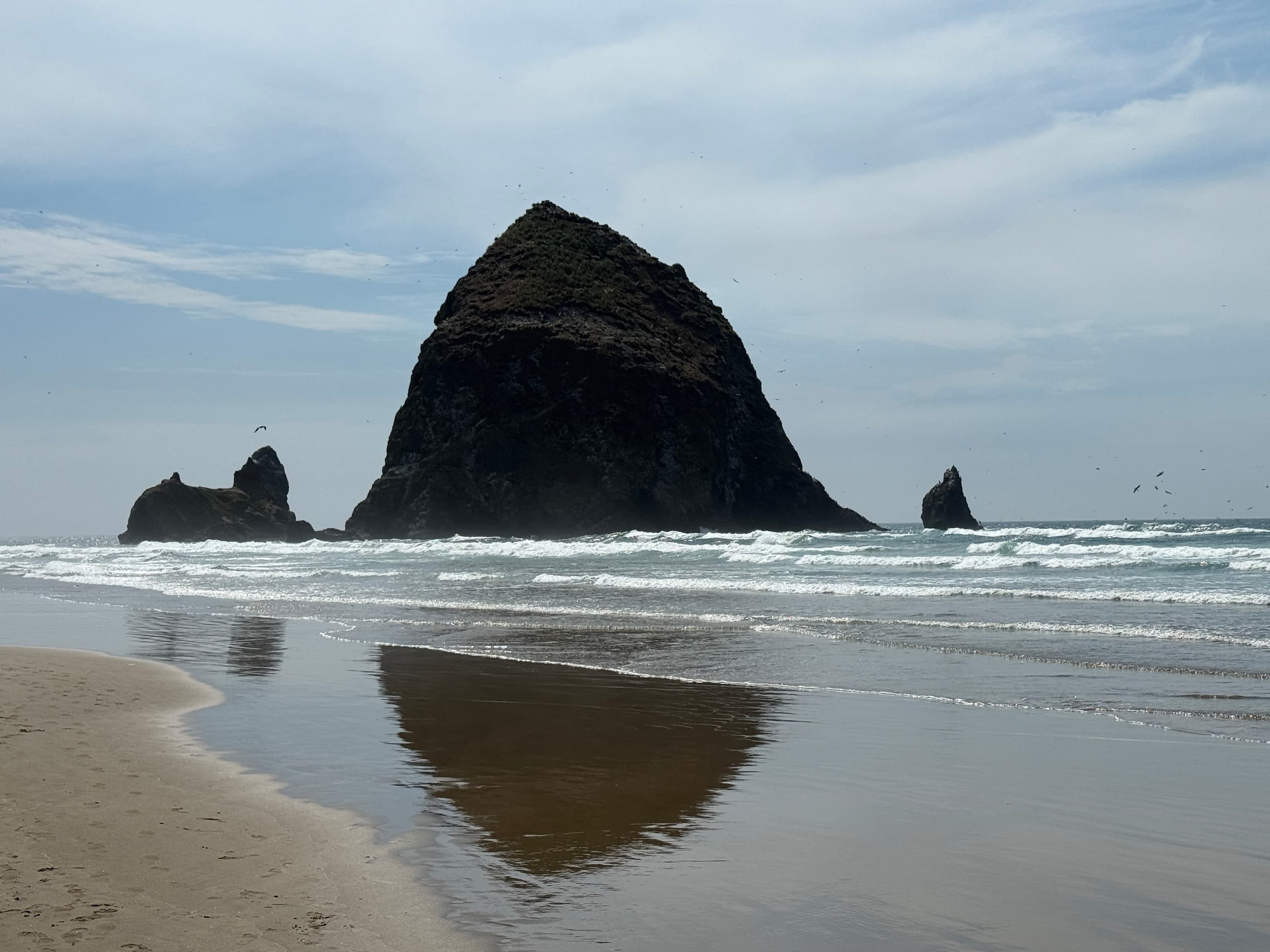 Explore the Oregon Coast: Whale Watching and Iconic Coastal Adventures from Portland