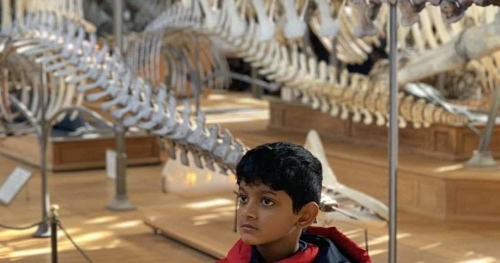 Explore Washington DC's Natural History Museum with Family