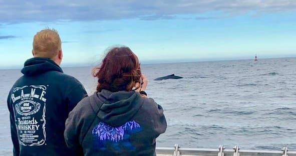 Whale Watching with Kodiak Scenic Tours in Alaska