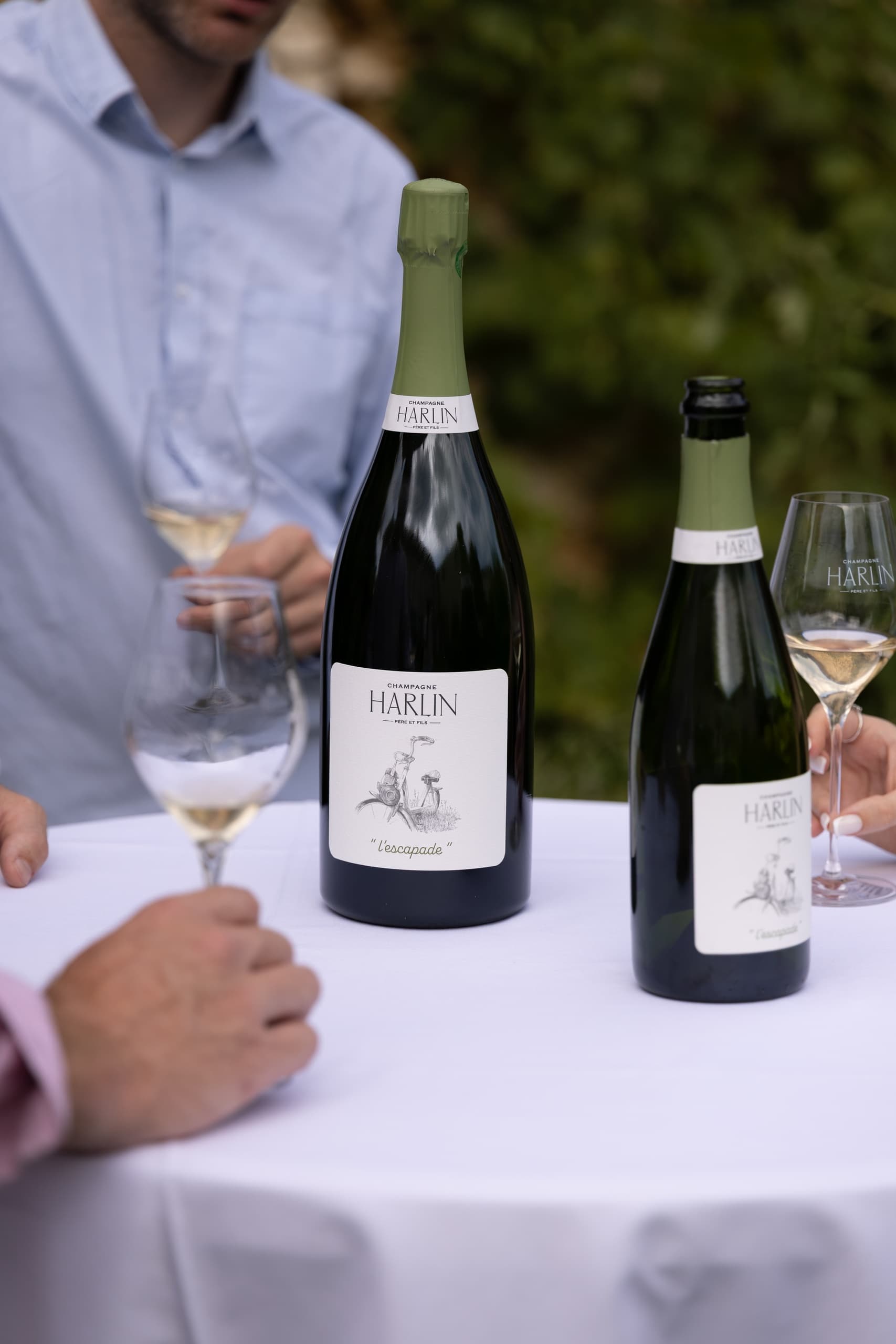 Sunset in the Vines: Champagne Harlin Père & Fils 2026 Events
